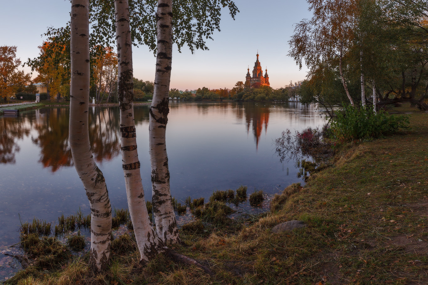 Осенний пейзаж Петергоф Ольгин пруд