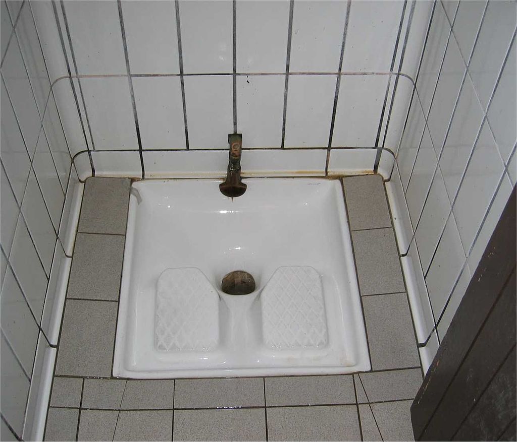 1024px-French_Squatter_Toilet.jpg
